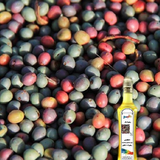 روغن بنه