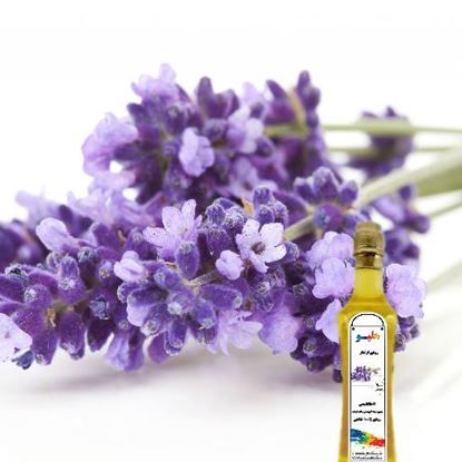 روغن اسطوخودوس روغن اسطوخودوس